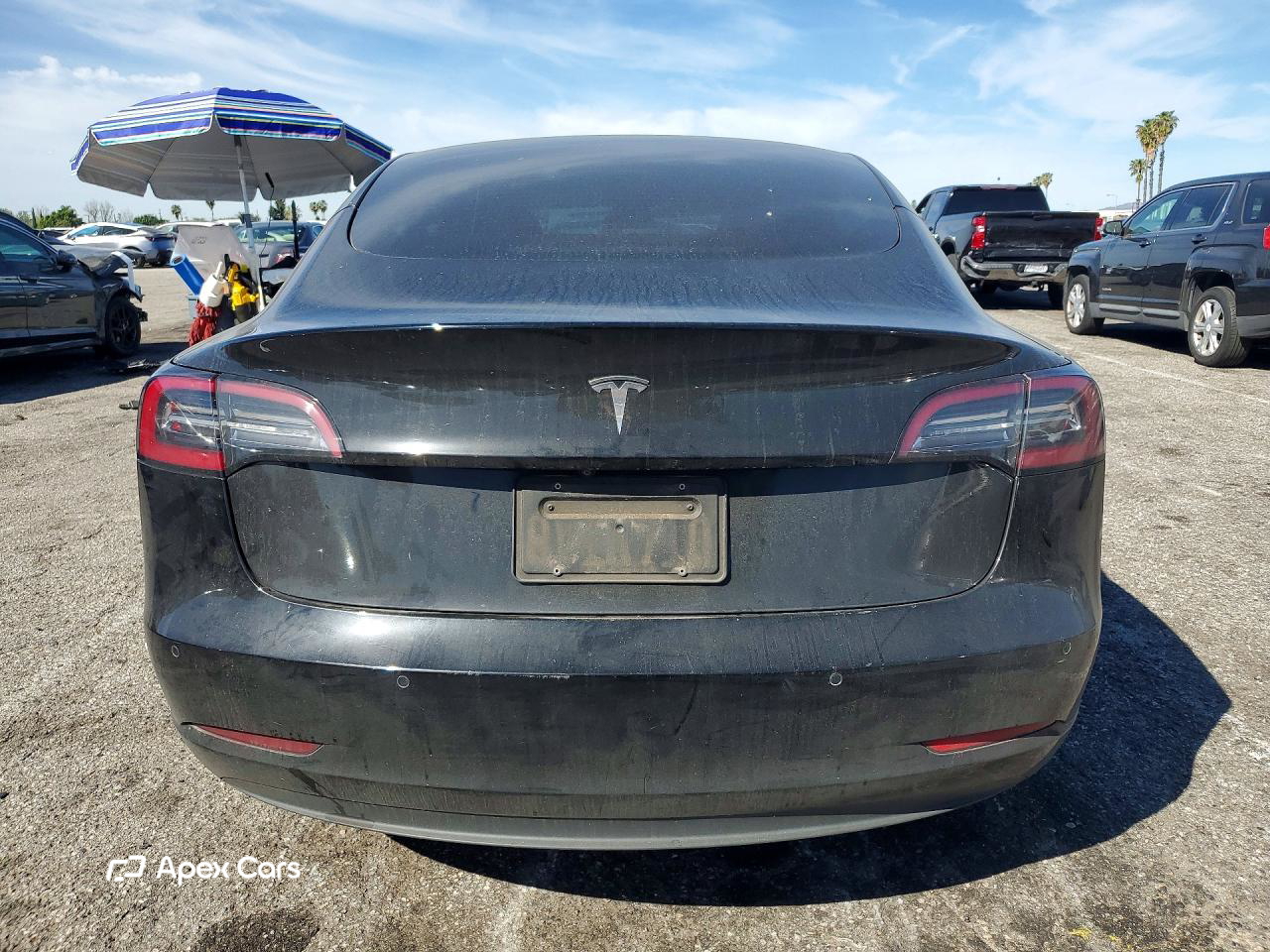 Tesla Model 3 2021