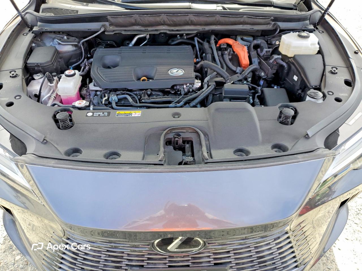 Lexus RX 2024