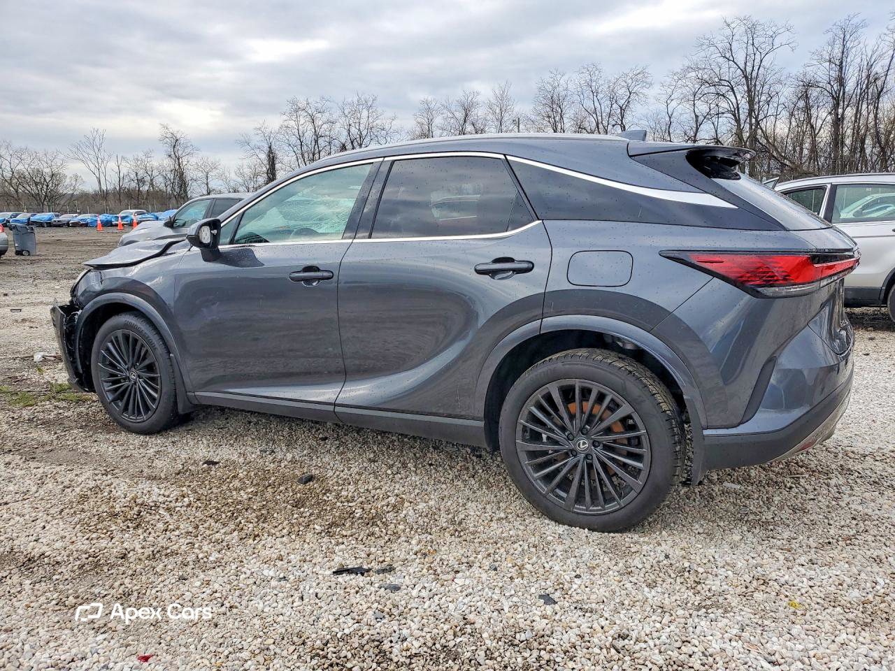 Lexus RX 2025
