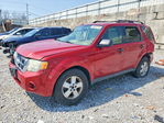 Ford Escape 2011