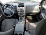 Ford Escape 2010