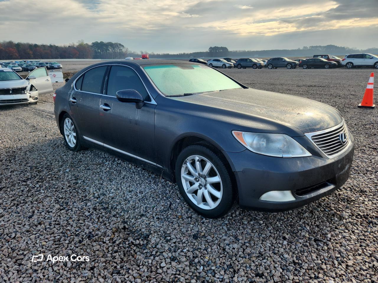 Lexus LS 2008