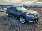 Lexus LS 2008