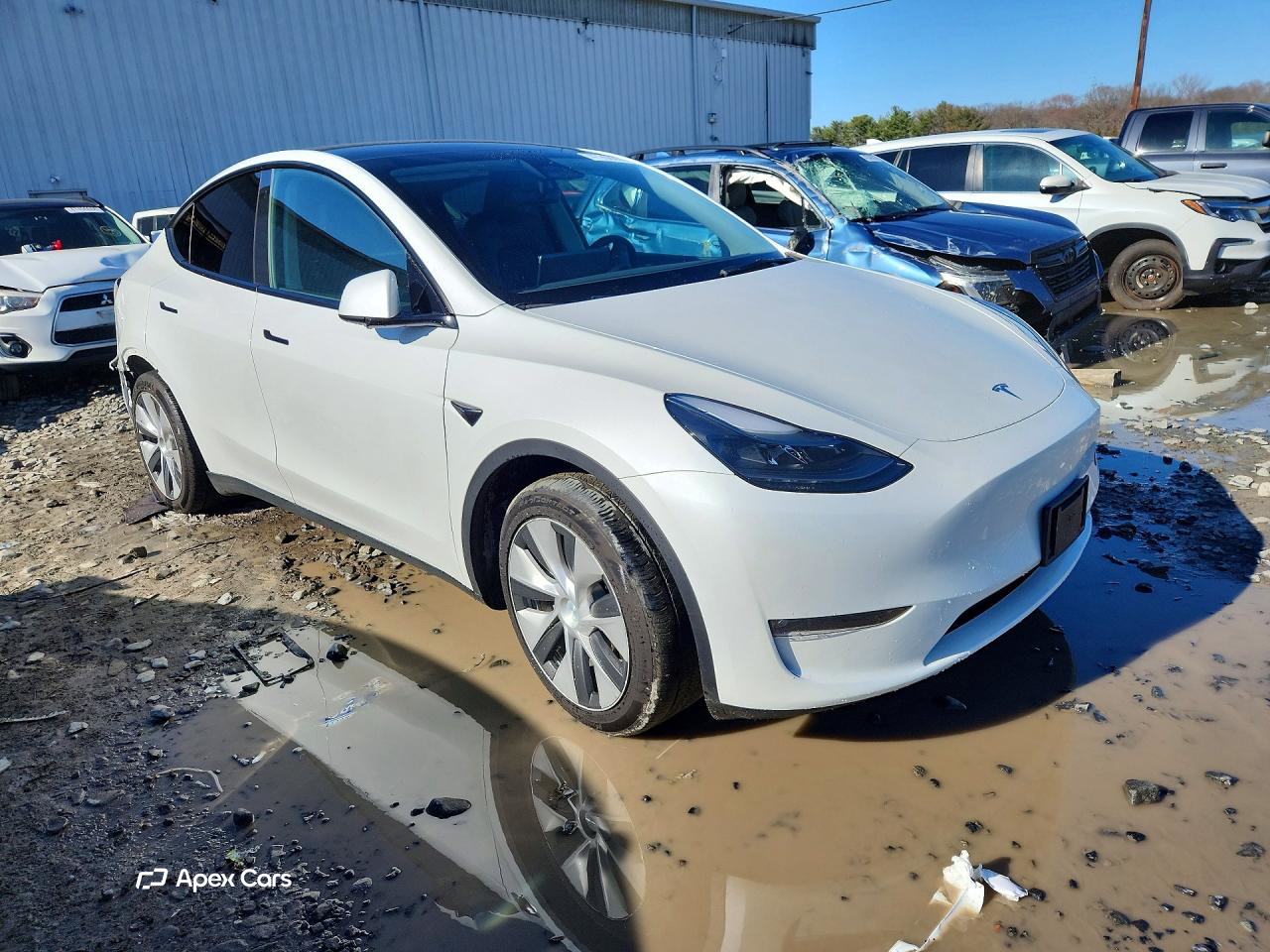 Tesla Model Y 2023