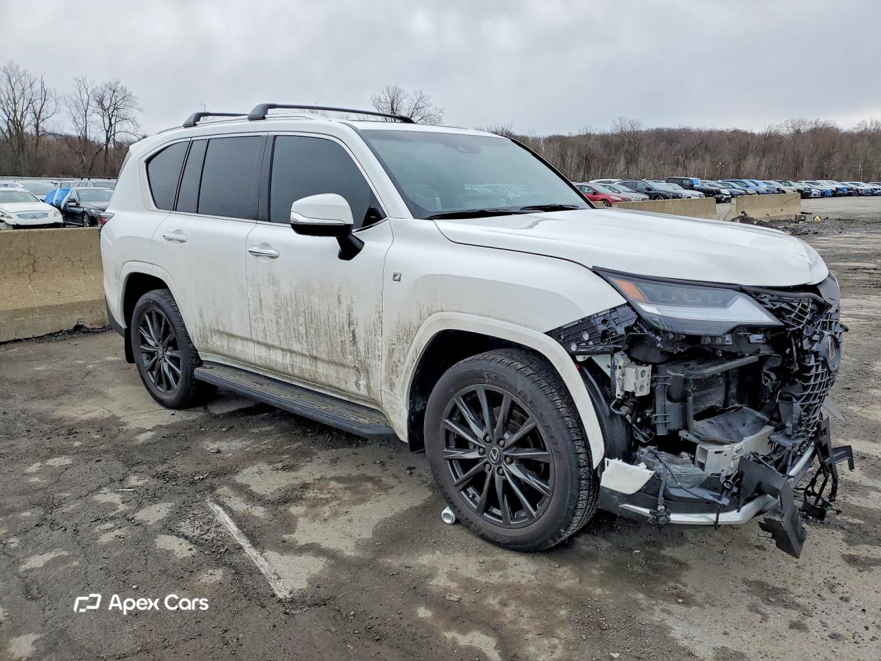 Lexus LX 2024