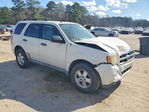 Ford Escape 2010