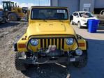 Jeep Wrangler 2001