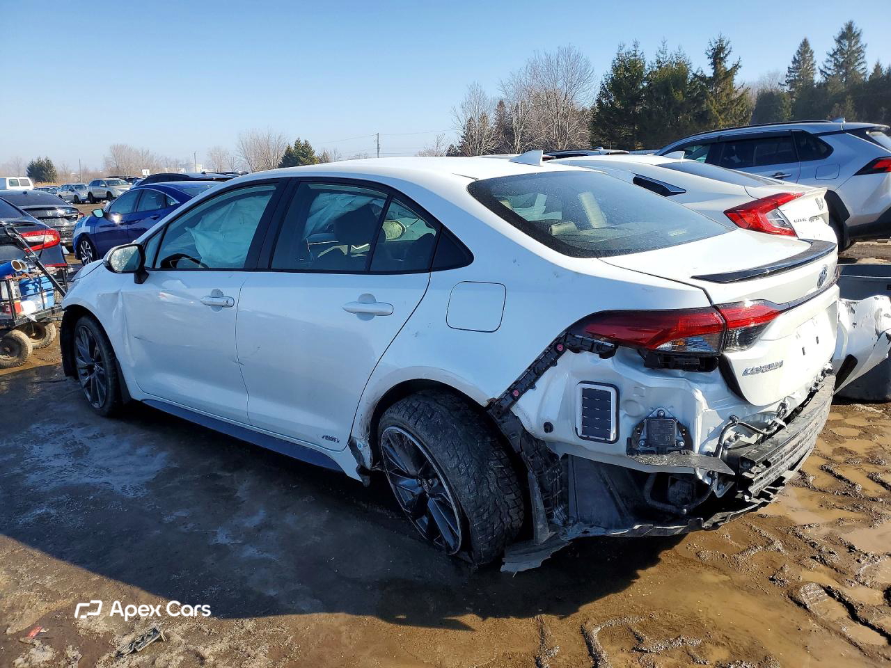 Toyota Corolla 2025