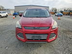 Ford Escape 2013