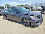 Honda Accord 2013
