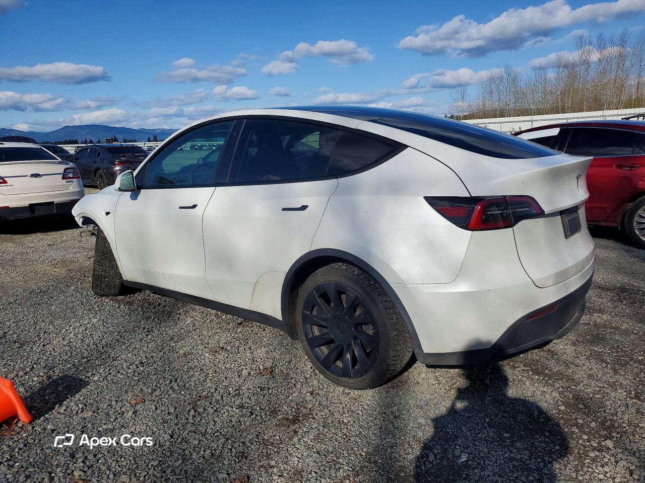 Tesla Model Y 2021