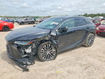 Lexus RX 2024