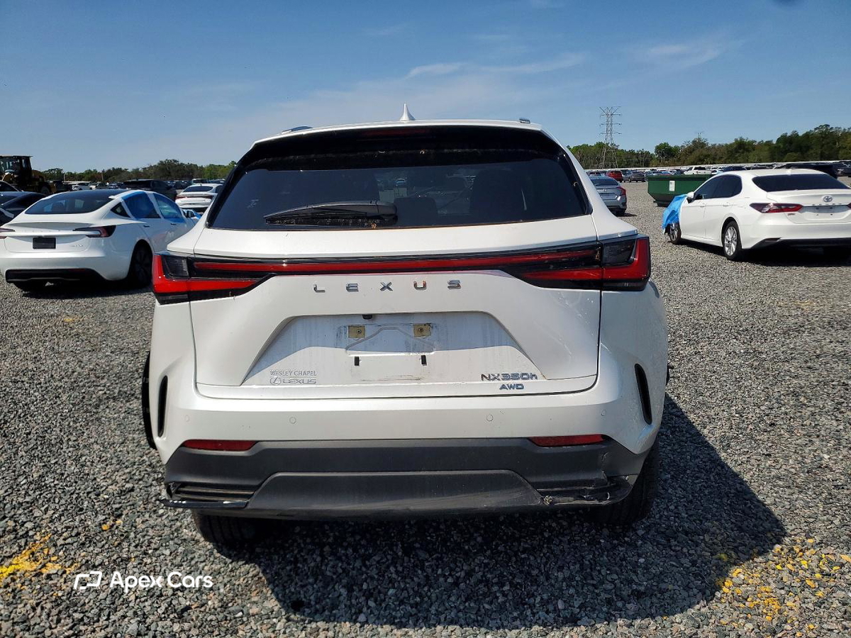 Lexus NX 2024