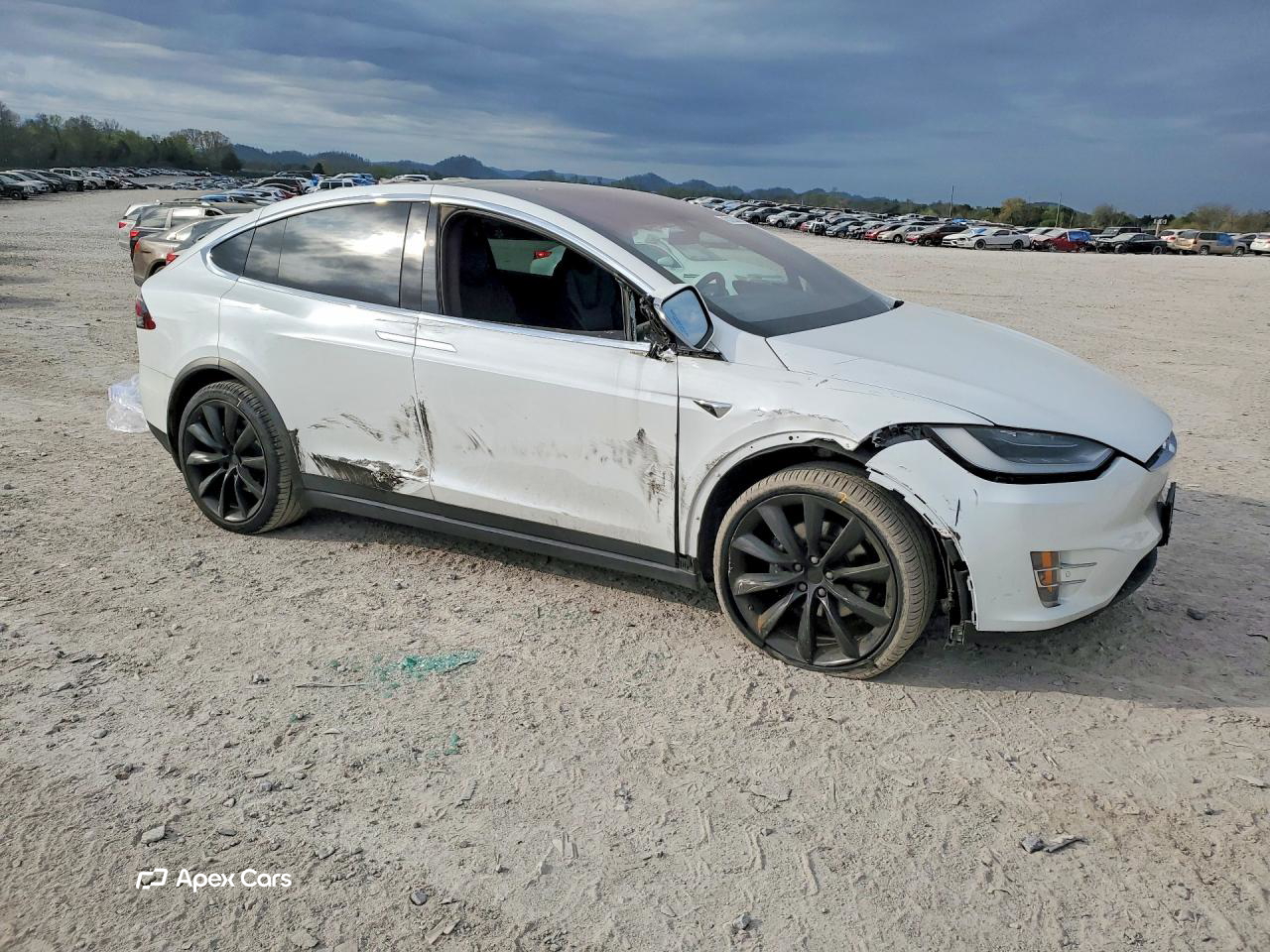 Tesla Model X 2020