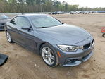BMW Series 4 2016