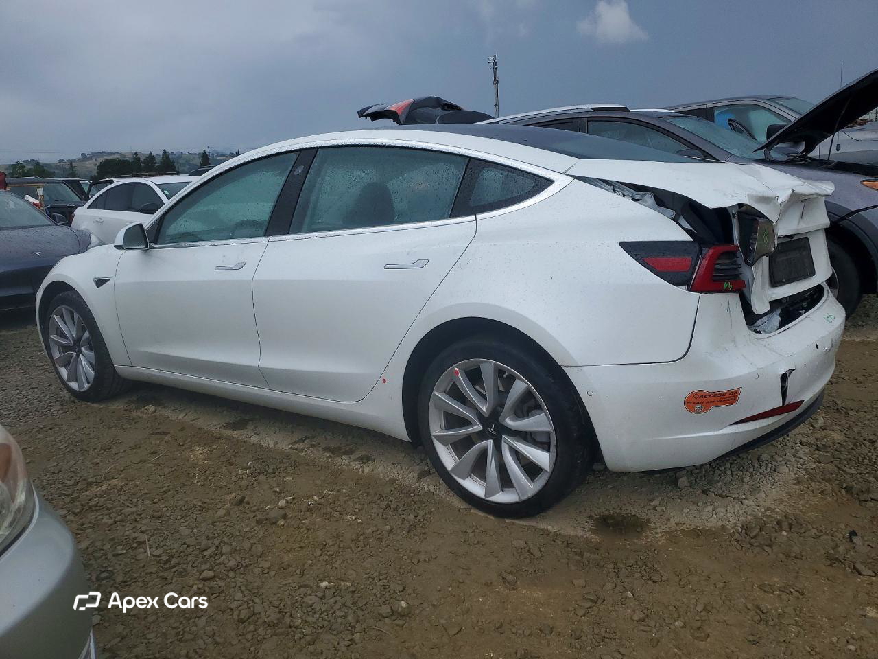Tesla Model 3 2020