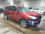 Ford Escape 2014