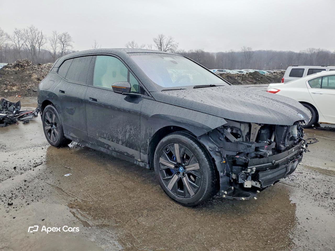 BMW iX 2024