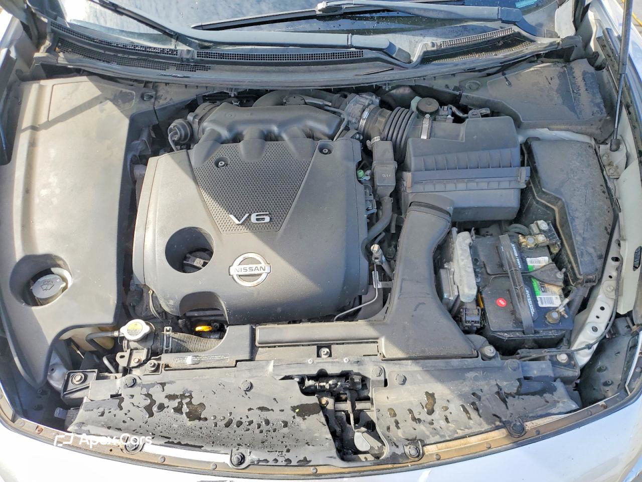 Nissan Maxima 2013