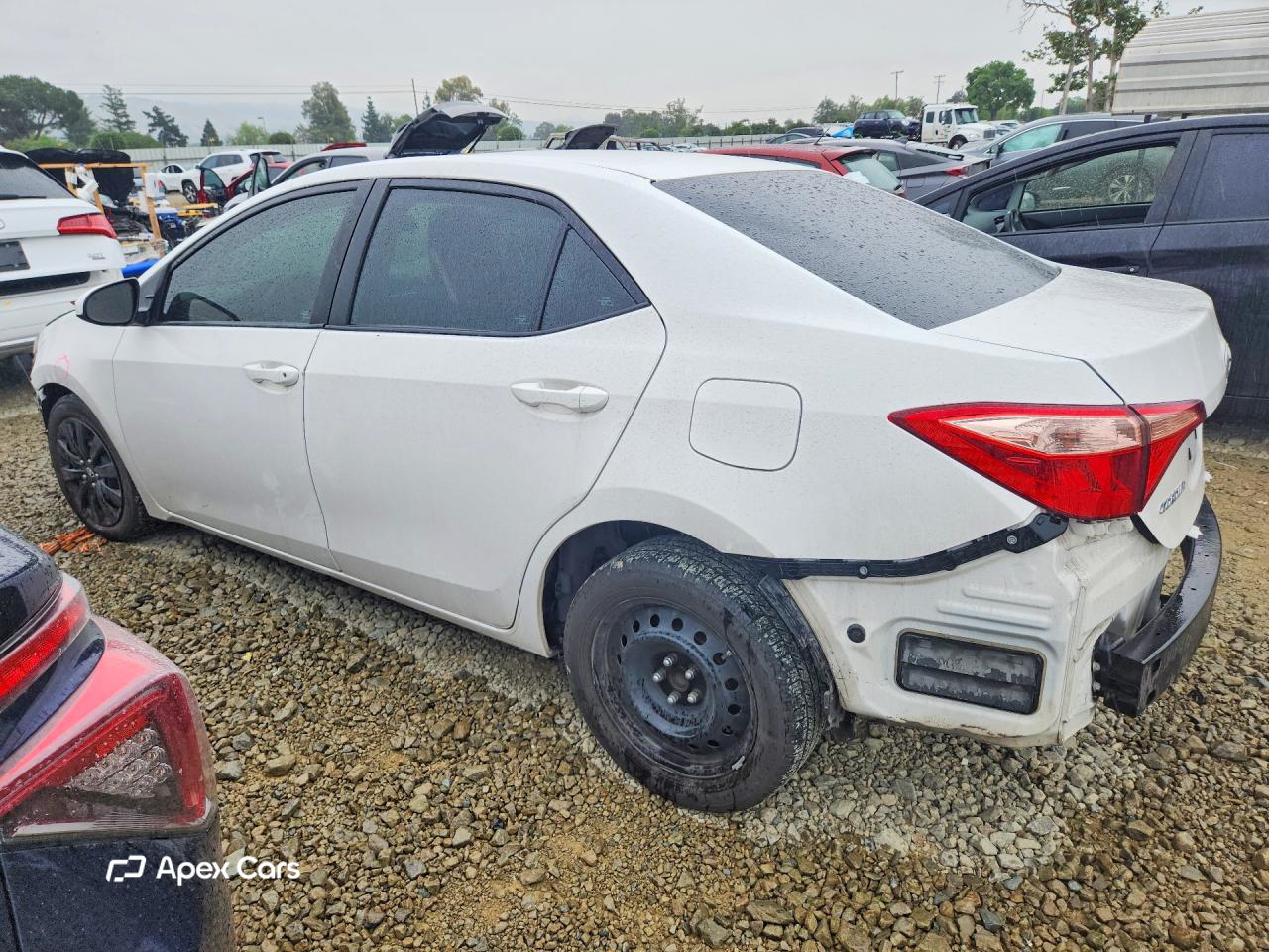 Toyota Corolla 2019