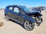 Ford Escape 2013