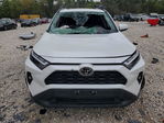 Toyota RAV 4 2024