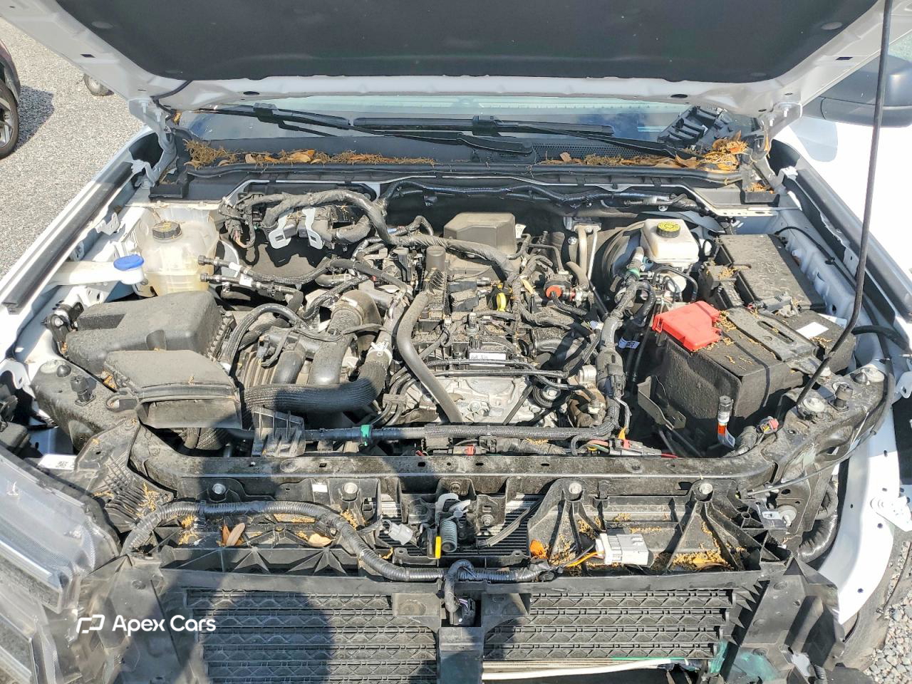 Ford Ranger 2024