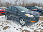 Ford Escape 2013