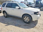 Ford Escape 2010
