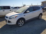 Ford Escape 2014