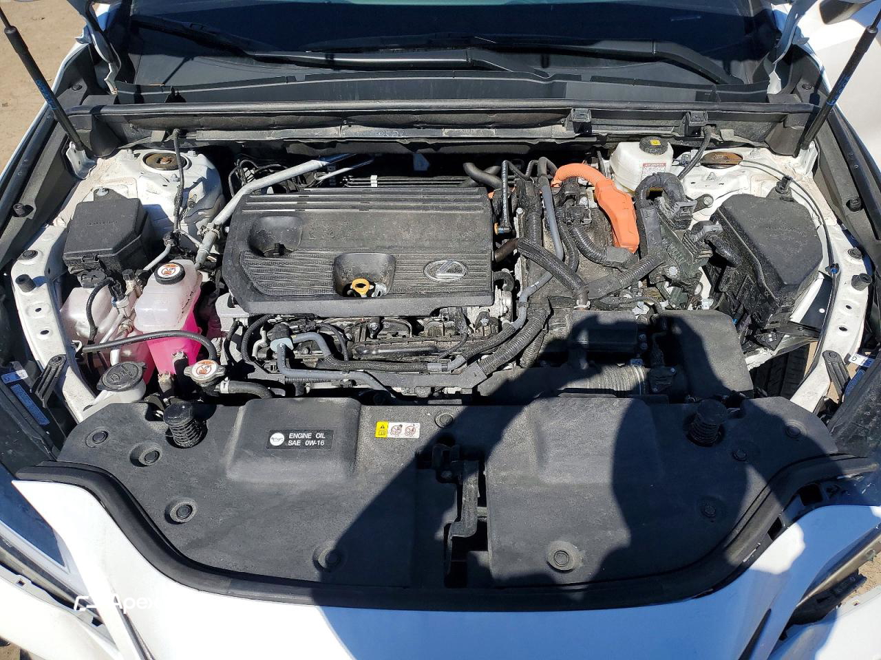 Lexus NX 2025