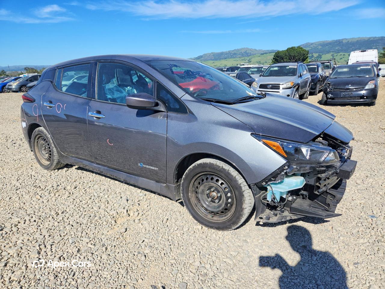Nissan Leaf 2019