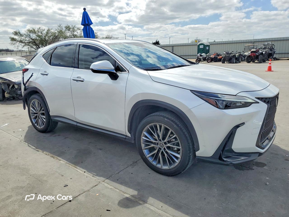 Lexus NX 2023
