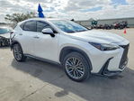 Lexus NX 2023