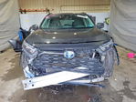 Toyota RAV 4 2024