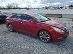 Hyundai Sonata 2014