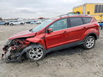 Ford Escape 2014