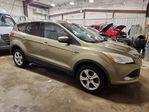 Ford Escape 2013