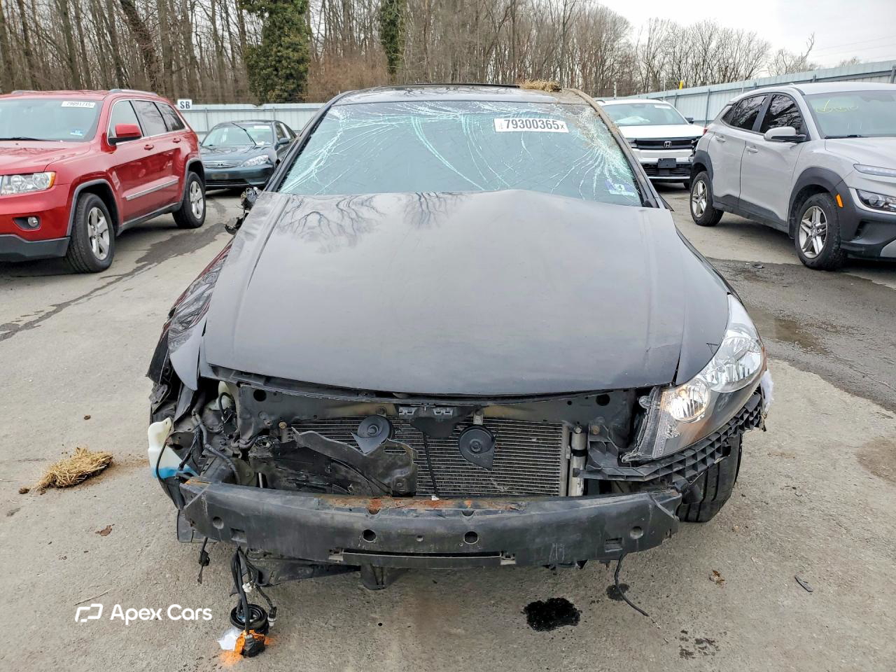 Honda Accord 2012