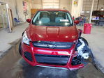 Ford Escape 2014