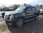 Cadillac Escalade 2008