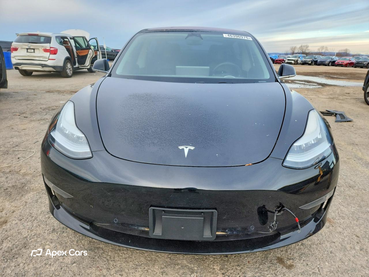 Tesla Model 3 2019