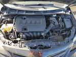 Toyota Corolla 2011