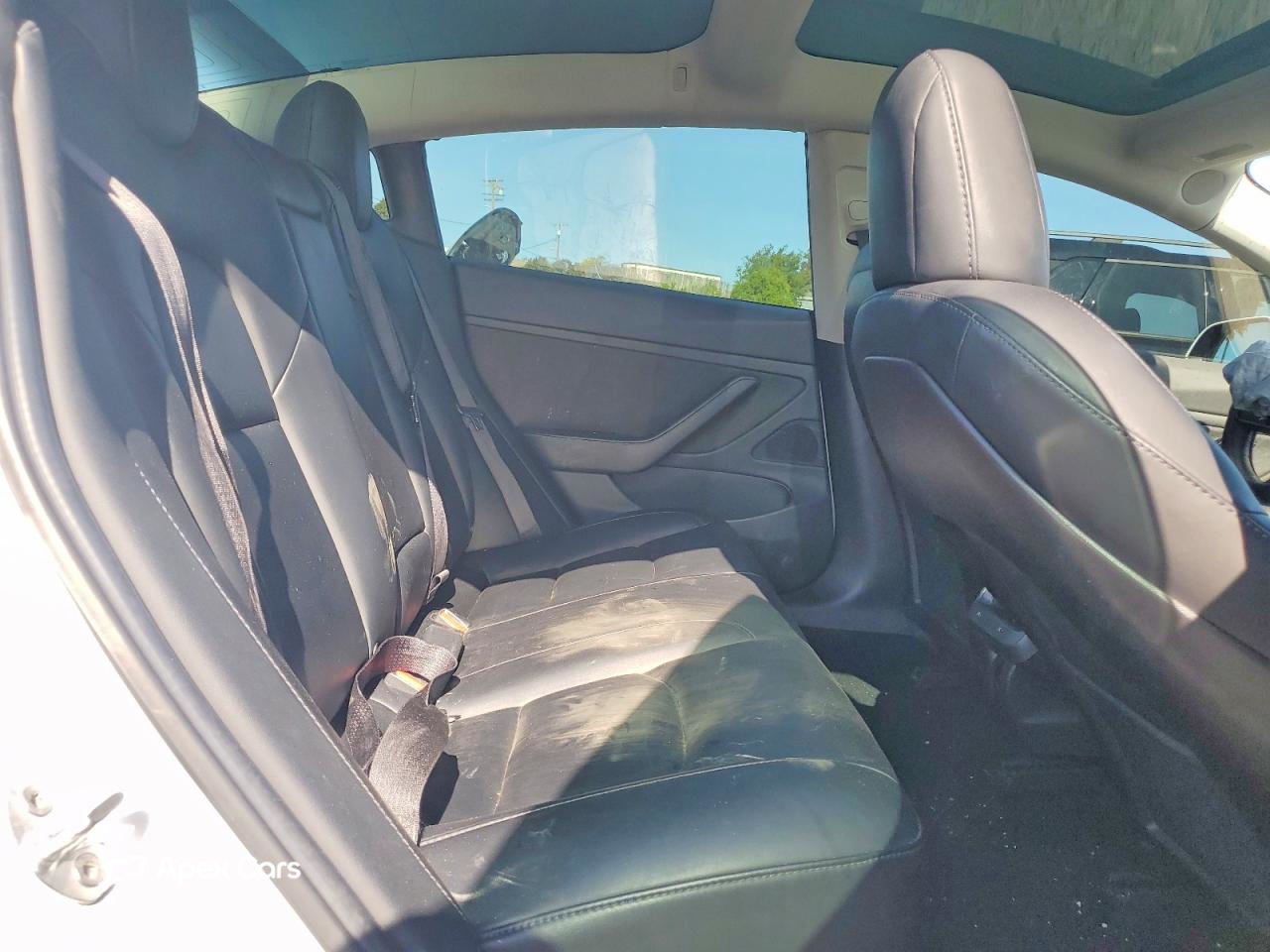 Tesla Model 3 2019