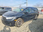 Honda Odyssey 2024