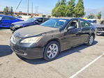 Lexus ES 2009