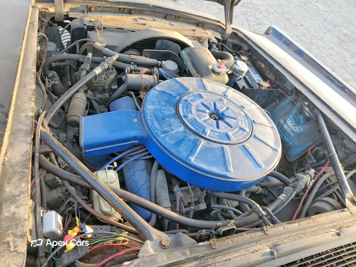 1966
