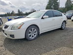 Nissan Maxima 2007