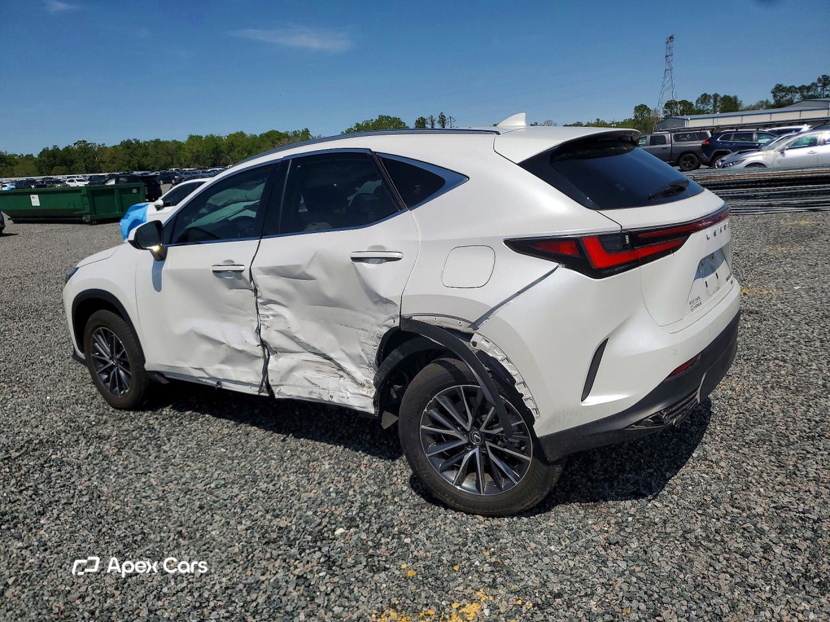 Lexus NX 2024