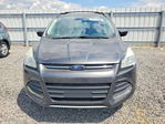 Ford Escape 2016